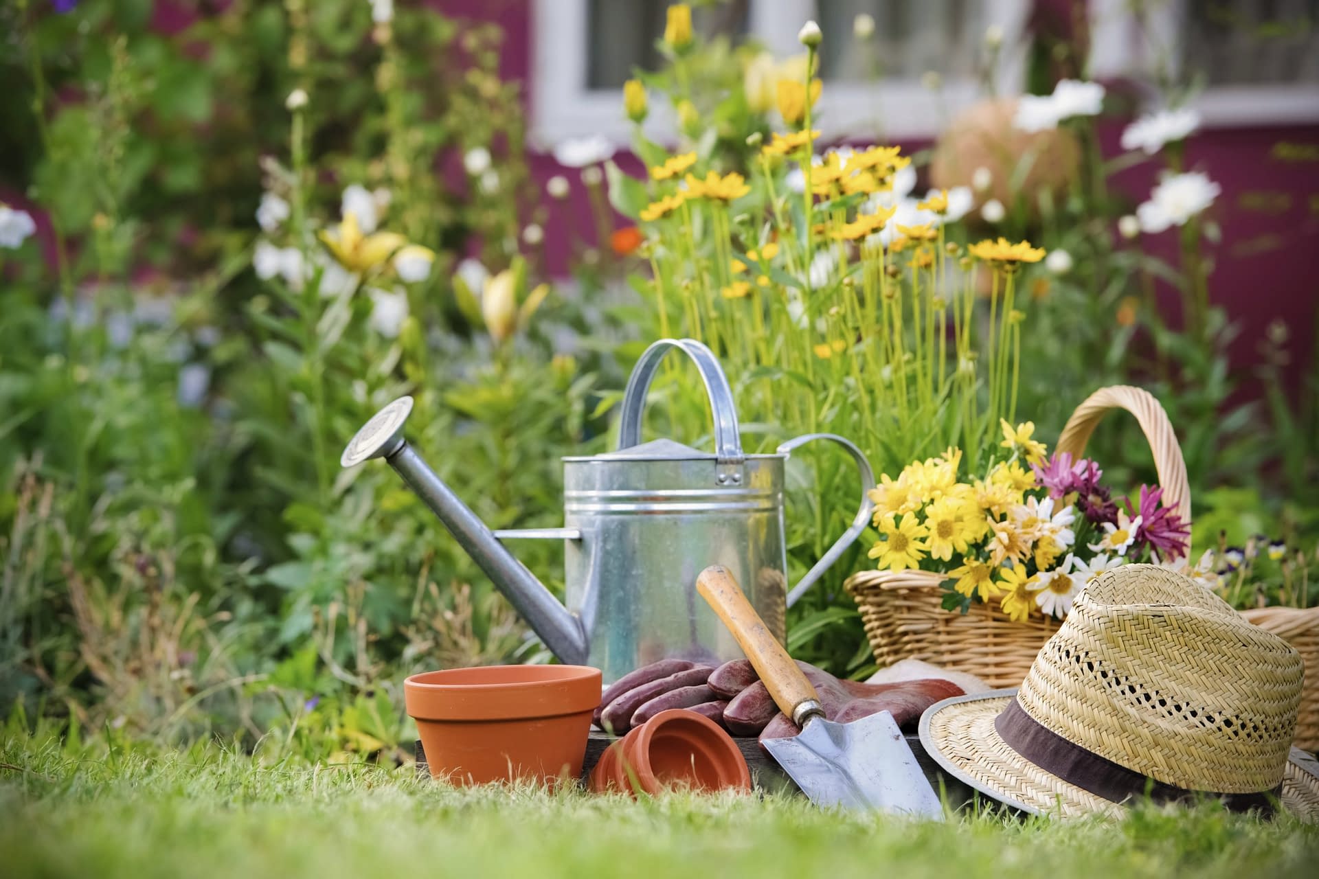 Effective Tips for Gardening And Lawn Care I Skillerz